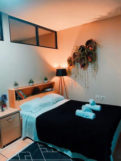 City Central Amazona Appartment تيرانا المظهر الخارجي الصورة