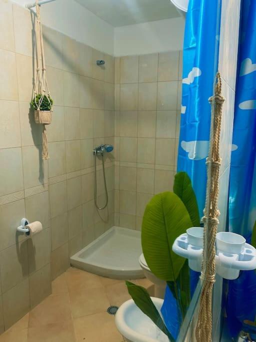 City Central Amazona Appartment تيرانا المظهر الخارجي الصورة