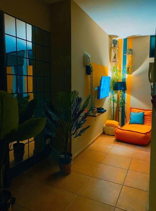 City Central Amazona Appartment تيرانا المظهر الخارجي الصورة